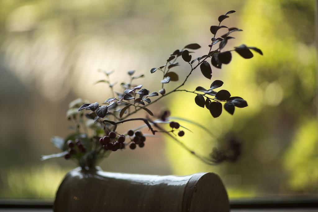 Kotobukiso Hotel Shin'onsen ภายนอก รูปภาพ